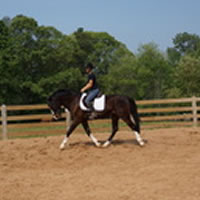 Apollo (sold)